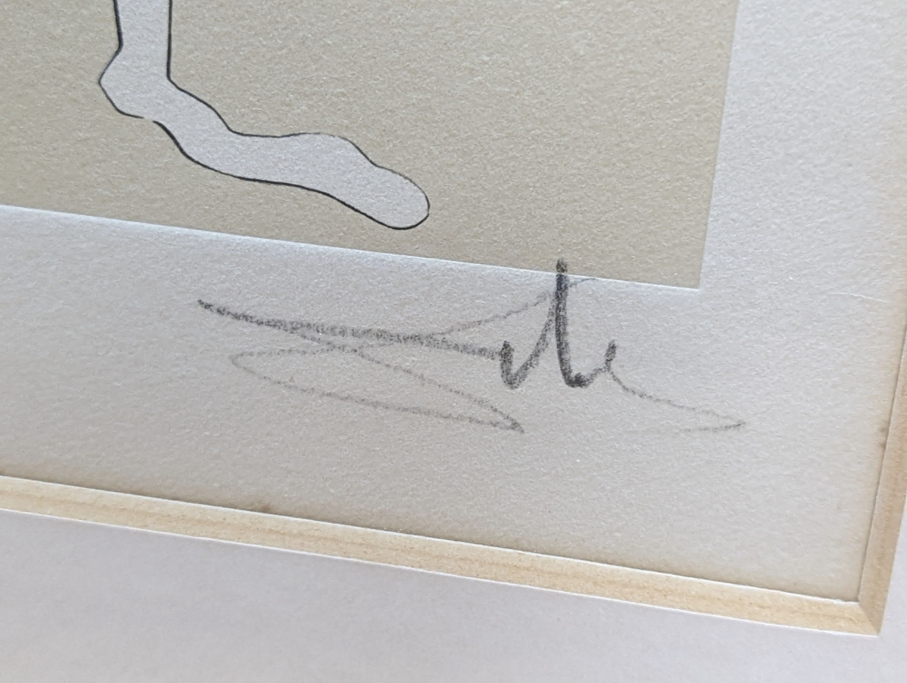 Salvador Dali (1904-1989), etching, Nu aux Voilettes (from Visions De Quevedo), signed in pencil, 201/300, 21 x 15cm